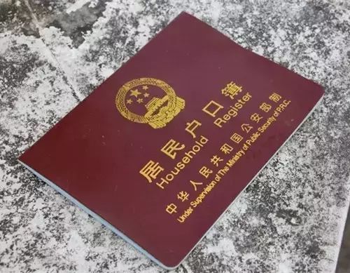 孙子投靠爷爷户口的最新动态与巷弄深处的独特风味探秘