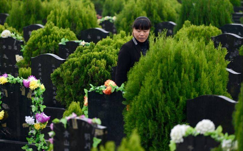 最新墓地看守员招聘，一段特殊的日常故事