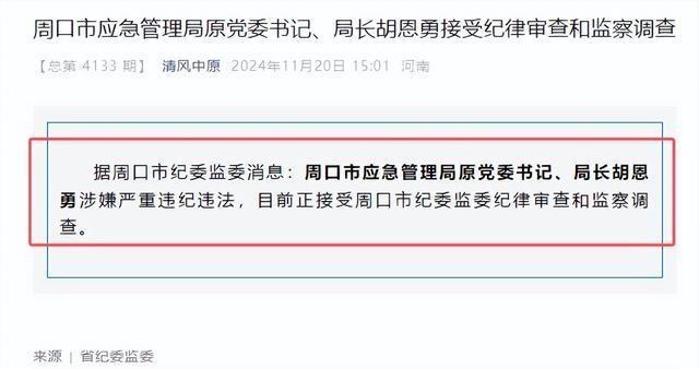 项城市各局局长全面了解与查询步骤指南，从初学者到进阶用户的实用指南