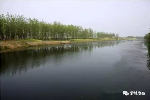 蒙城湿地公园最新动态，自然美景探索之旅唤醒内心平静