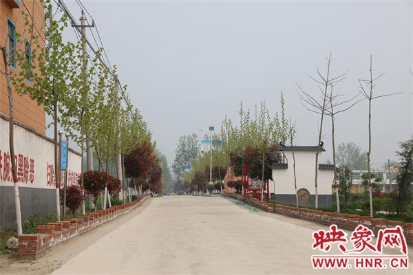河南淮滨张里最新动态更新🎉📢