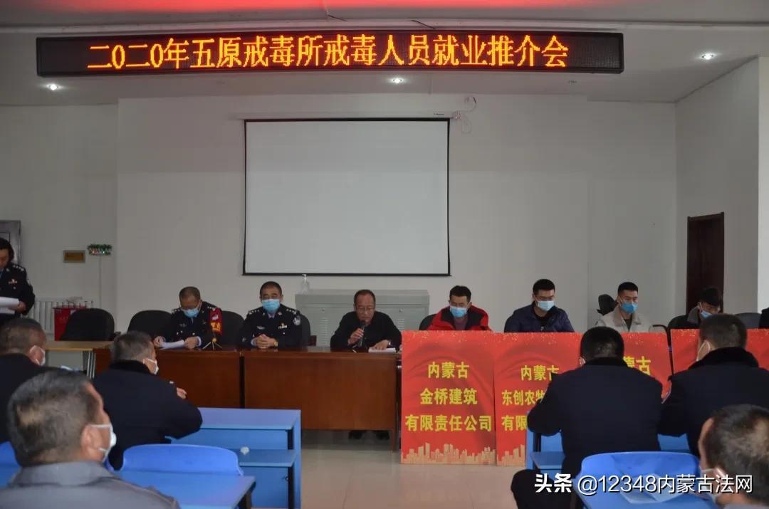 五原县最新招聘动态，职业发展的理想选择地