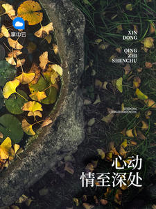 蜕变之歌，林苑白霍长渊最新章节中的自信与成就之路
