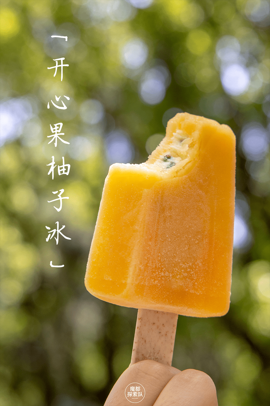 51彩虹最新版，探索自然美景，发现内心平静的旅程