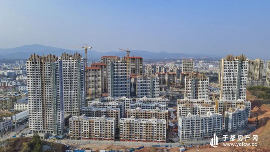 新干最新房价揭秘，洞悉房价动态，一览无余！
