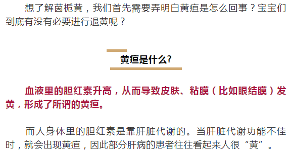 郑焰红最新章节深度解析与观点探讨