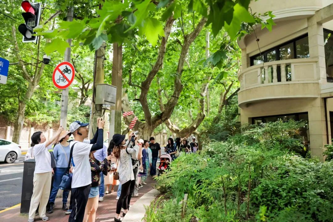 幼师群最新动态与小巷深处的特色小店探秘之旅