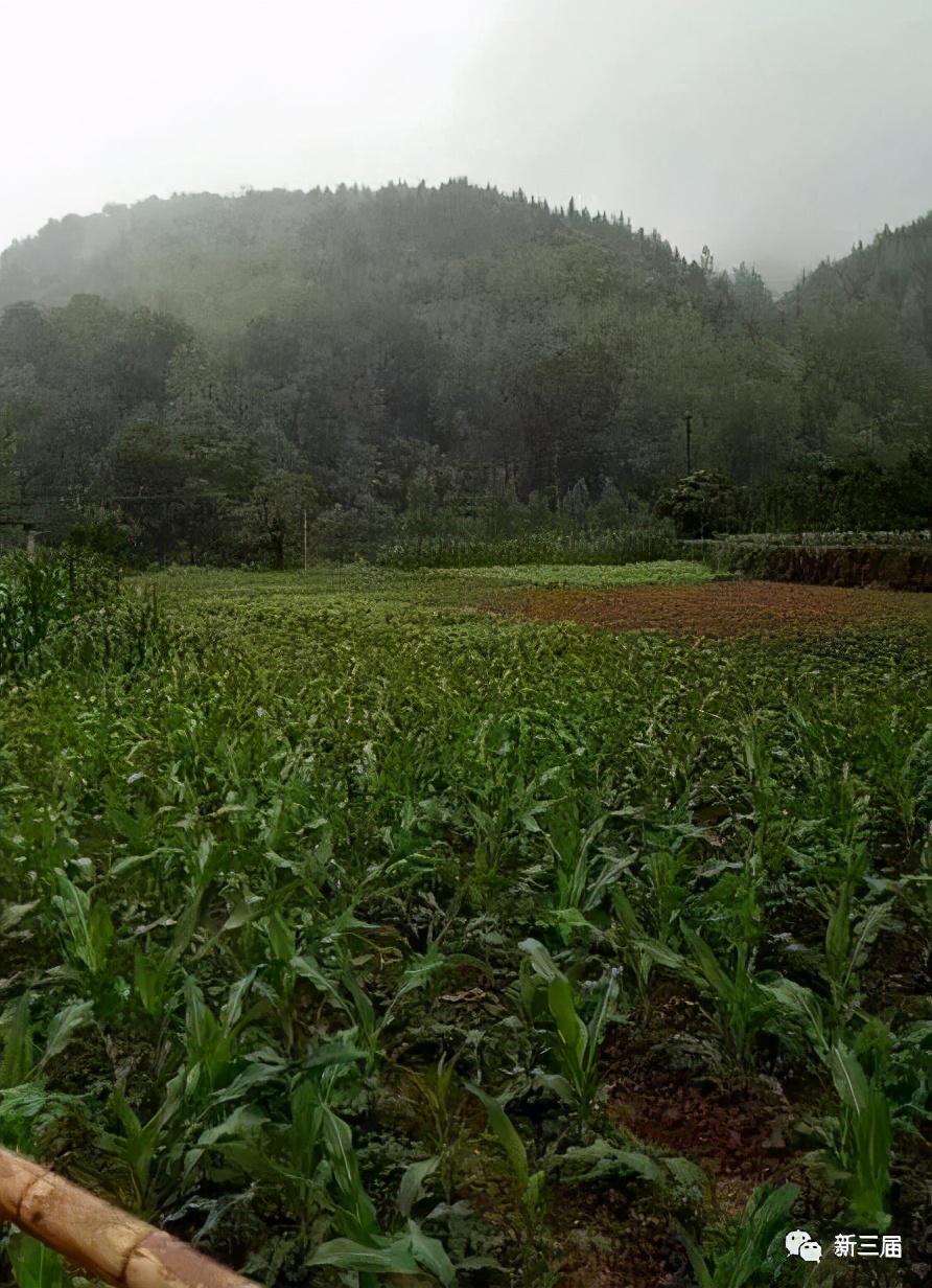 酉阳城最新招工信息汇总