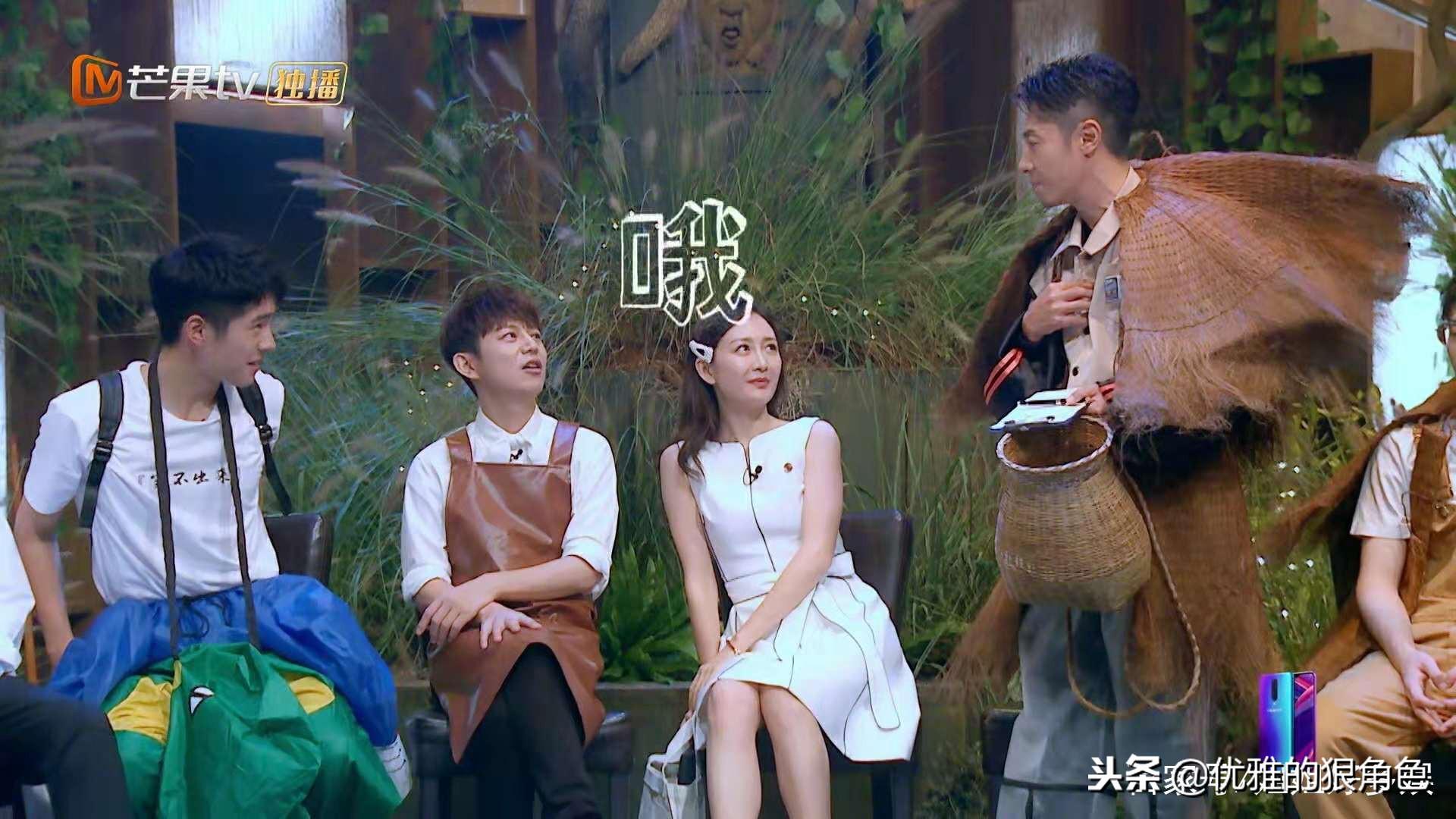 天生吃货之美食侦探，探寻美食的无限魅力最新报道