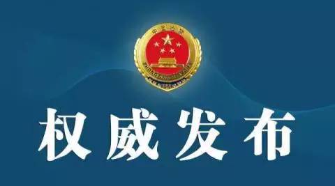 山东辱母案最新进展，科技助力正义，智能守护安宁新篇章