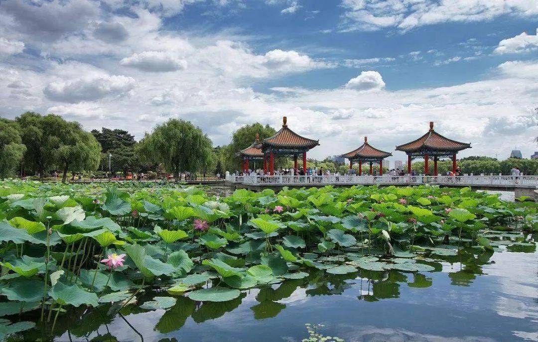 探索自然美景