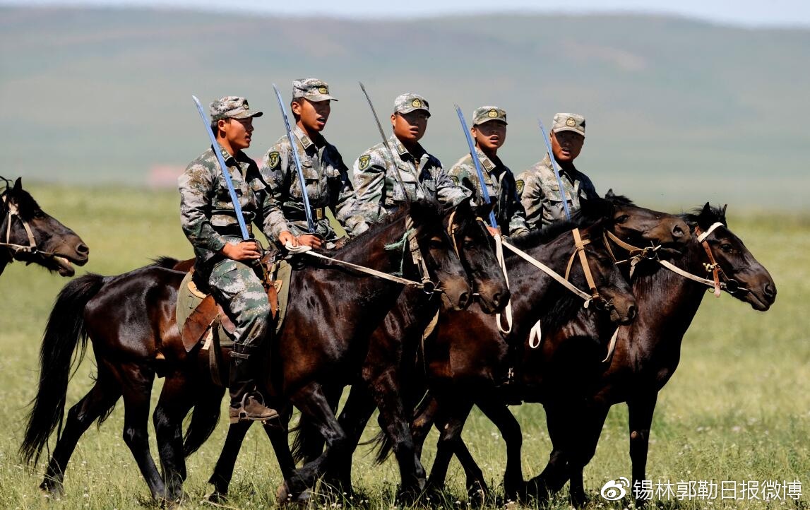 最新在线骑兵区,最新在线骑兵区论述